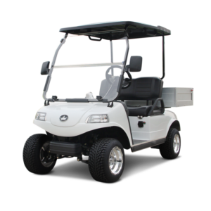D2 Turfman 200 Plus
