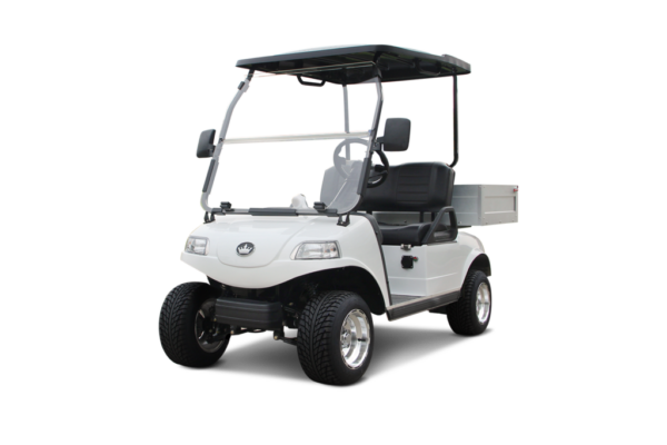 D2 Turfman 200 Plus