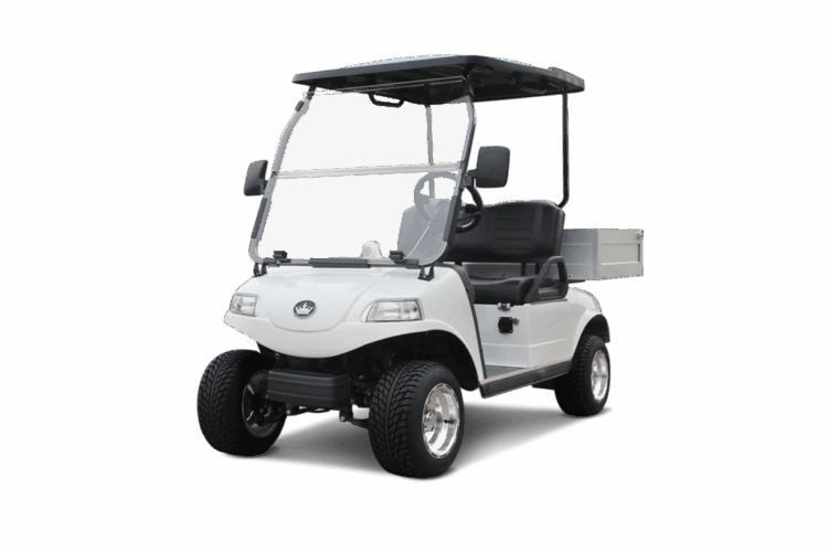 D2 Turfman 200 Plus
