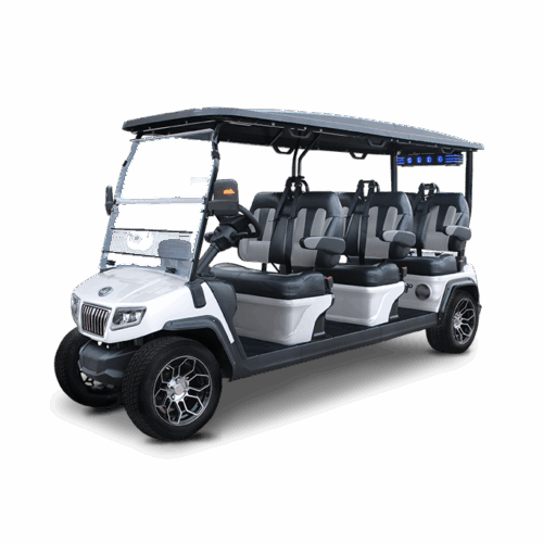 D5 Ranger 6