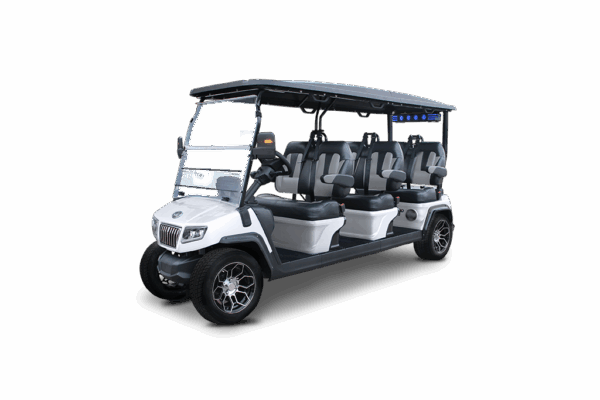 D5 Ranger 6