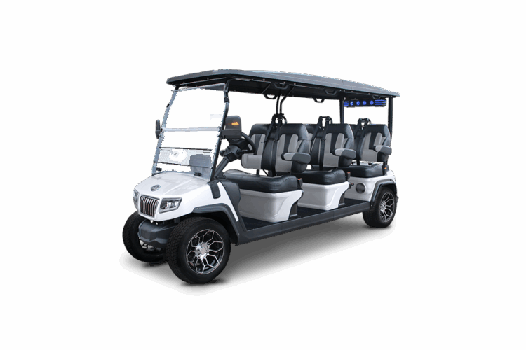 D5 Ranger 6