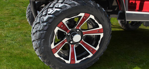 D2 Forester 6 Plus - Image 5