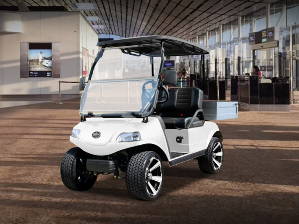 D2 Turfman 200 Plus - Image 6