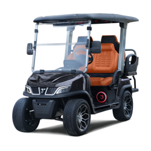 Tara Roadster 2+2