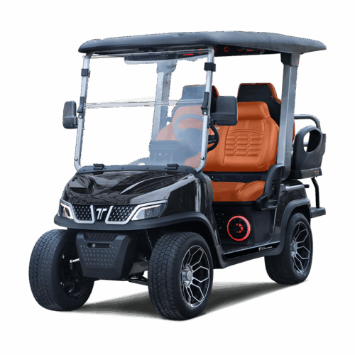 Tara Roadster 2+2