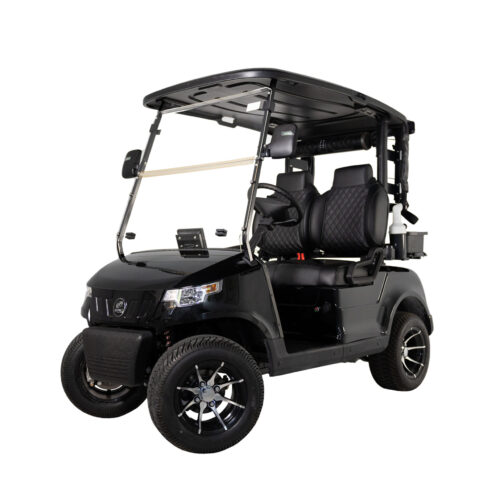 Epic E20 Golf Cart